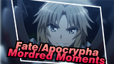 Fate/Apocrypha Cut | Mordred Moments Cut_A2