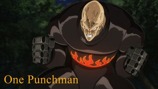 One Punchman