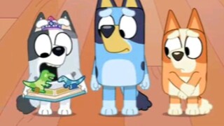 Bluey perpustakaan