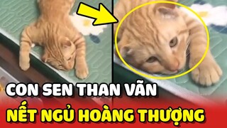 Con Sen THAN VÃN vì mèo nhà mình VỪA DÀI VỪA LƯỜI 😂 | Yêu Lu