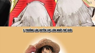 giả thuyết về mẹ luffy