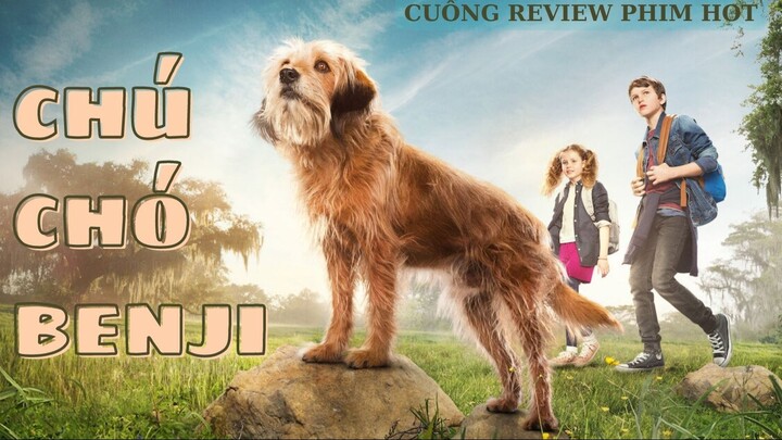 Review phim: CHÚ CHÓ BENJI #review #movie