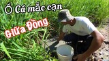 Nữa Ngày Săn Bắt Câu Cá Vùng Miệt Thứ Sóc Trăng| Vlog Ăn Chực