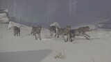 Pack of Doggos Chasing an Invisible Scarab [Elden Ring]