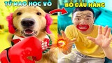 Thú Cưng Vlog | Tứ Mao Ham Ăn Đại Náo Bố #23 | Chó gâu đần thông minh vui nhộn | Smart dog funny pet