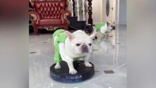 น่ารักตัวเท่าโลกเลยนะเนี่ยย