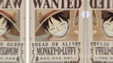Luffy's Capture Notice
