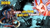 [Phân tích OP 1019]. Tuyệt đỉnh Franky! Kaido săn lùng Trái Ác Quỷ của Yamato!