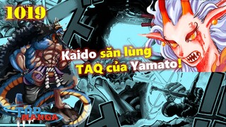 [Phân tích OP 1019]. Tuyệt đỉnh Franky! Kaido săn lùng Trái Ác Quỷ của Yamato!