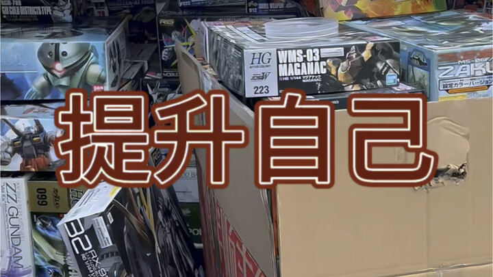 提升自己 高达的地位来了
