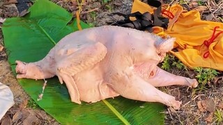 Mức độ pixel! Đánh bại căn bệnh ung thư gà rừng TGA và chó liếm! Những người có vận mệnh chân thành 