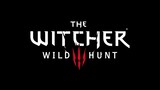 The Witcher 3: Wild Hunt OST - The Fields of Ard Skellig