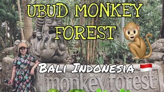 UBUD MONKEY FOREST, BALI INDONESIA TRAVEL VIDEO