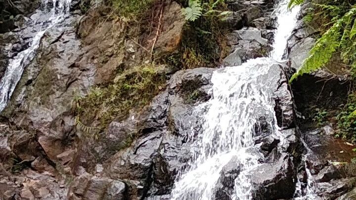 Waterfall Scenery