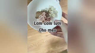 Mèo ăn pate lười - Người ăn mitom lười 🥲🥲 mèo cute cat