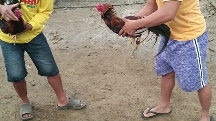 naka paldo samin