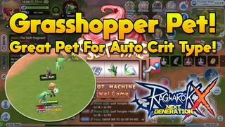 Capturing Grasshopper Pet Good For Auto Attack Crit Type Character [ROX]