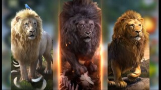 How to get resources quickly in beast lord game