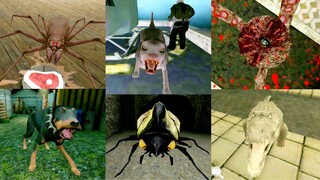 Creepy Pets #11 | Granny's Spider vs Psychopath Cat vs HeadHorse Dog vs Evil Nun's Croc & More