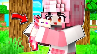 Mimi & Bé Kỳ Giông [Axolotl] Siêu Dễ Thương | Hero Team Minecraft Animation