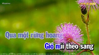 Hoa Trinh Nữ Tuấn Vũ