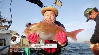 Hodong and the Sea | 鎬童出海記