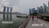 新加坡 鱼尾狮一日游