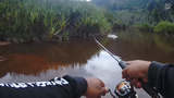 Clip Mancing Abdoel wild fishing