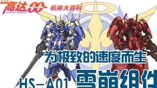 สารานุกรมยูนิต Gundam 00 (03): เกิดมาเพื่อความเร็วขั้นสุด - HS-A01 ส่วนประกอบหิมะถล่ม