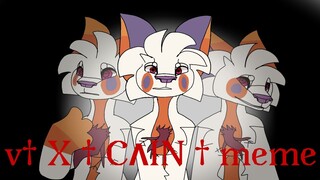 v† X † CΛIN † meme _ (flipaclip)