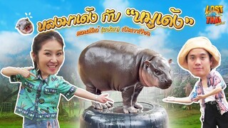 Lost In Thai Mystery หลงรักไทย หลงมาเด้ง กับ “หมูเด้ง” สวนสัตว์ (แปลก) เปิดเขาเขียว EP.4 (FULL)