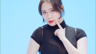 郑仁  Phone Number   220211