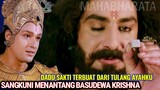 Kisah Dadu Sakti SANGKUNI Menantang BASUDEWA KRISHNA / Alur Cerita Film Mahabharata Indonesia