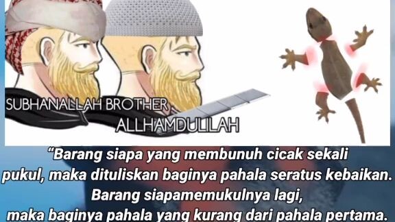 gas nyari cicak 🗿