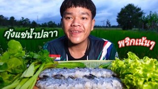 กุ้งเเช่น้ำปลาทะเลเดือด ความเผ็ดระดับ×10 กุ้งเน้นๆ แกล้มผักสลัดแก้ว แซ่บคักขนาด