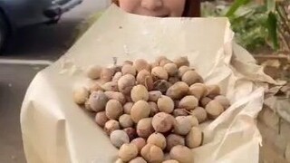 Kacang lucu , kayak batu … tapi enakkk ….. namanya kacang Bogor tapi kayaknya gak cuma ada di Bogor