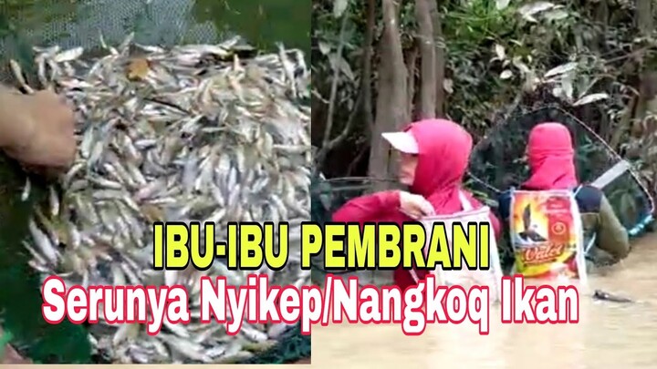 Ibu-Ibu Pembrani Pergi Nangkoq Ikan | Pasukan Merah Panen Ikan