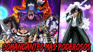 ¡LOS PIRATAS DE KUROHIGE! La Nueva Tripulación YONKOU más Poderosa | AOKIJI DESCONTROLO TODO