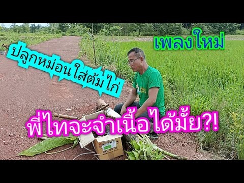 เพลงใหม่..พี่ไทจะจำเนื้อได้มั้ย?!