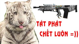 Review QBZ mới tán phát chết luôn đầu to 🤣 Truy Kích TQ