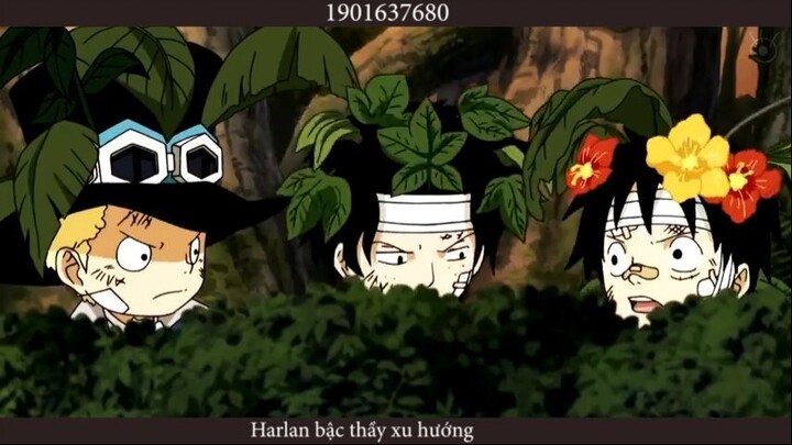 Anh em kết nghĩa - A Tale of 3 Brothers - One Piece AMV #anime
