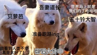 这系列梗图极狐不能少