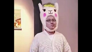 【Khoai tây】Chú lạc đà nhỏ, bah, bah, bah