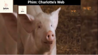 Tóm tắt phim: Charlotte's Web p3 #reviewphimhay