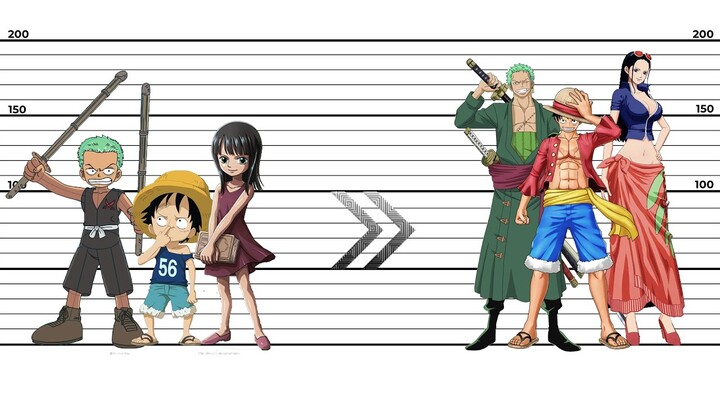 One Piece: Growth Of Characters From 1997 To 2021