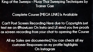 King of the Sweeps course  - Muay Thai Sweeping Techniques by Trainer Game download