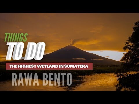 Hal Apa Saja Yang Bisa Dilakukan di Rawa Bento Kerinci ?