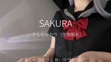 Video ngắn 25 giây - Bản cover "SAKURA"