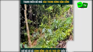 Cuộc sống hoang dã trong rừng p7