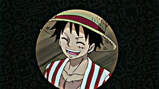 Saran Luffy